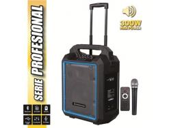 Coolsound Pro 300 Altavoz Autoamplificado Bluetooth 300W 10