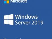 Microsoft Windows Server 2019 Essentials Oem