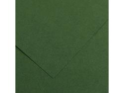 Canson Guarro Pack de 25 Cartulinas Iris de 185g - 50x65cm - Color Verde Amazonas
