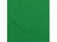 Canson Guarro Pack De 25 Cartulinas Iris De 185G - 50X65Cm - Color Verde Abeto