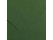 Canson Guarro Pack De 25 Cartulinas Iris De 185G - 50X65Cm - Color Verde Amazonas