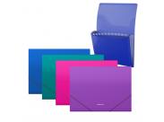 Erichkrause Pack De 4 Clasificadores Matt Vivid - 12 Fundas - Tamaño A4 - Colores Surtidos
