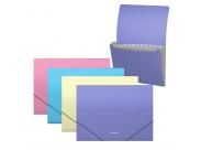 Erichkrause Pack De 4 Clasificadores Matt Pastel - 12 Fundas - Tamaño A4 - Colores Surtidos