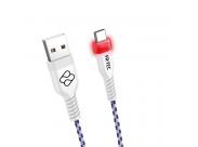 Fr-Tec Usb-C Cable Premium - 3M - Luces Led - Alta Calidad - Antienredos - Acabados En Aluminio - Color Blanco
