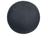 Leitz Ergo Active Balon De Asiento Antideslizante 65Cm - Asa De Transporte Resistente - Carga Maxima De 150Kg - Funda Lavable - Color Gris Oscuro
